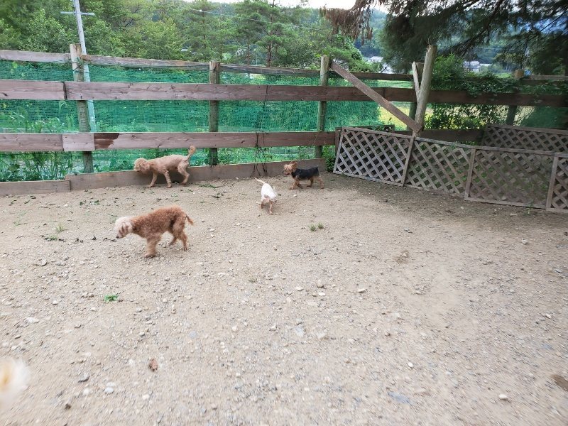 f:id:roukenhome-ann:20190911052144j:plain