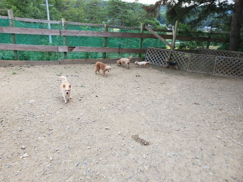f:id:roukenhome-ann:20190911052206j:plain
