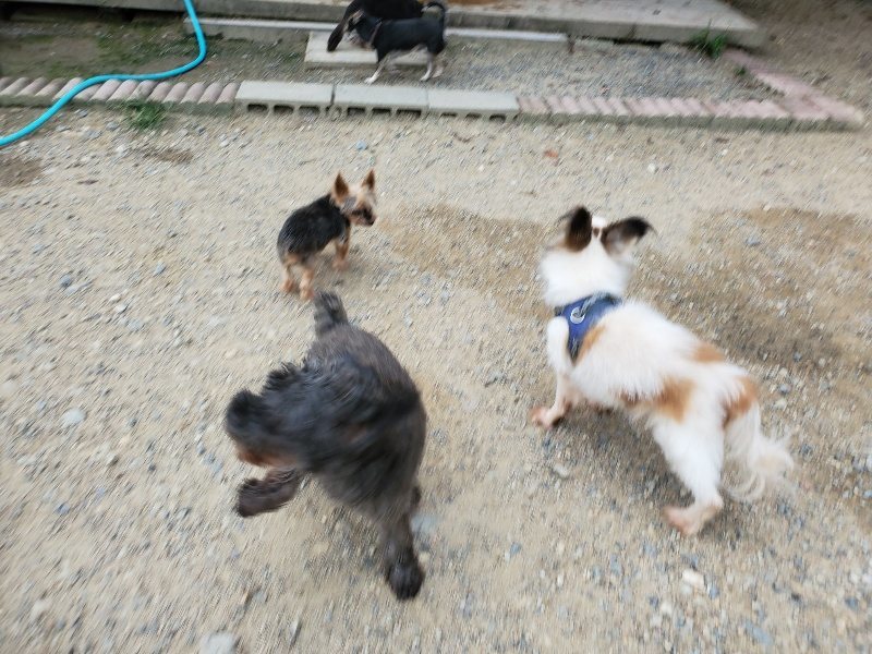 f:id:roukenhome-ann:20190911052211j:plain