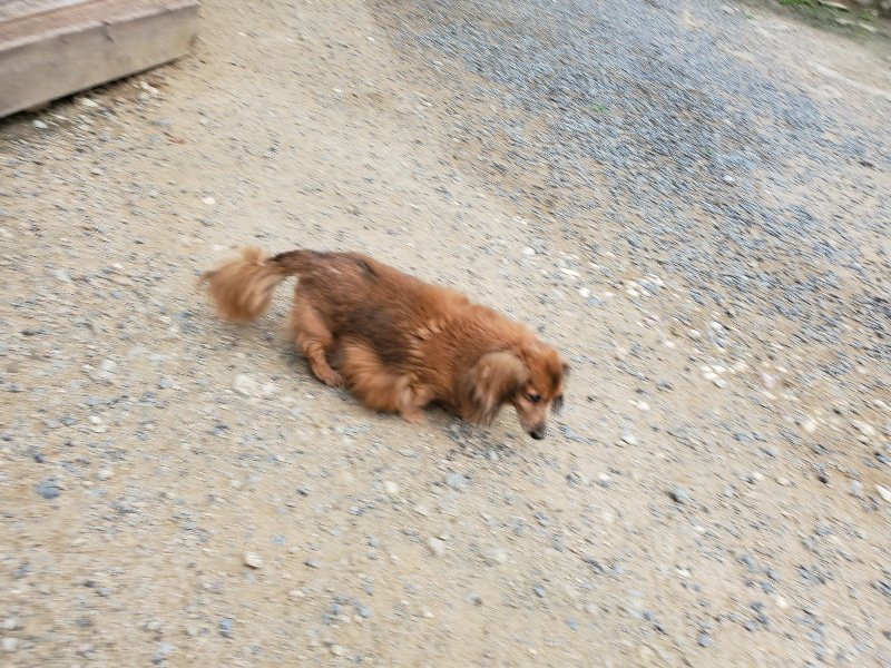 f:id:roukenhome-ann:20190911052251j:plain
