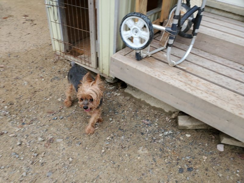 f:id:roukenhome-ann:20190911052308j:plain
