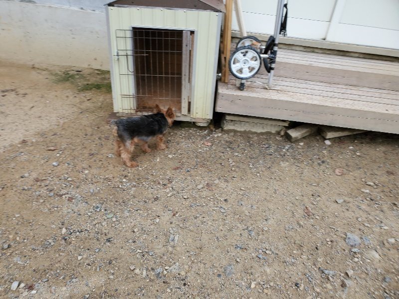 f:id:roukenhome-ann:20190911052338j:plain