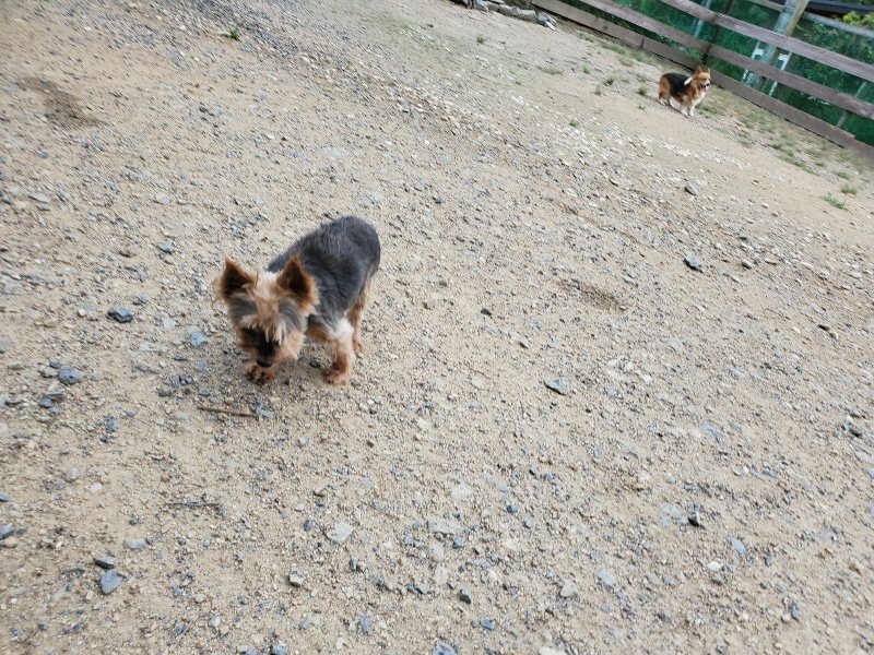 f:id:roukenhome-ann:20190911052350j:plain