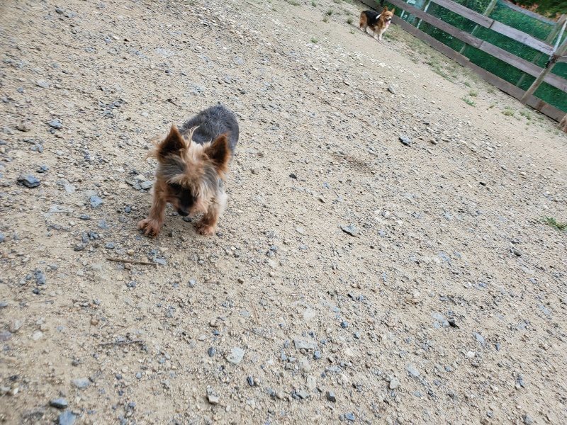 f:id:roukenhome-ann:20190911052355j:plain