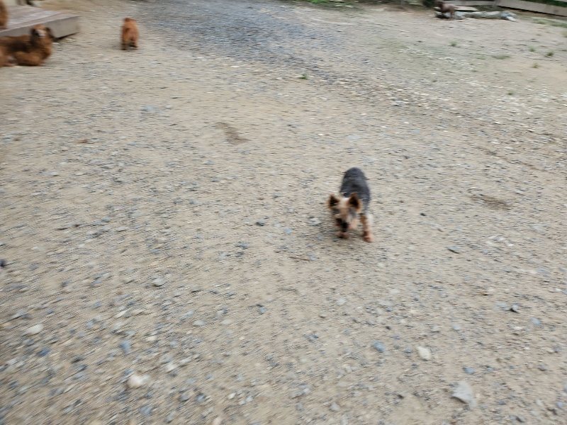 f:id:roukenhome-ann:20190911052401j:plain