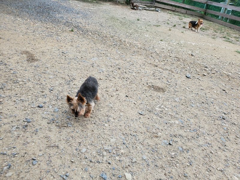 f:id:roukenhome-ann:20190911052408j:plain