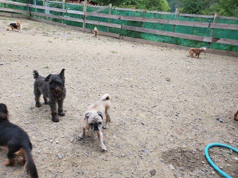 f:id:roukenhome-ann:20190911052421j:plain