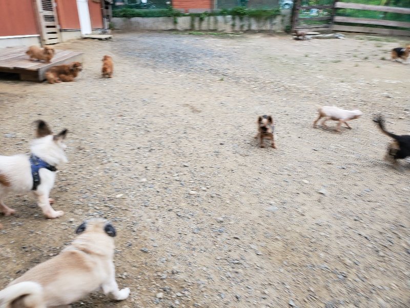 f:id:roukenhome-ann:20190911052427j:plain
