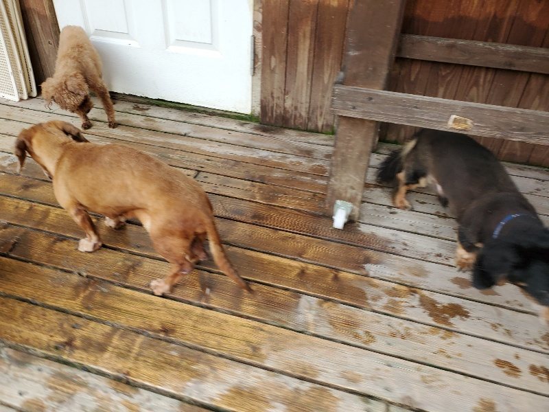 f:id:roukenhome-ann:20190911052432j:plain