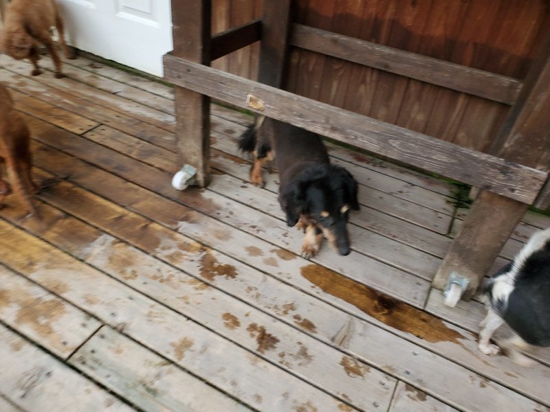 f:id:roukenhome-ann:20190911052437j:plain