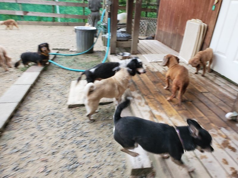 f:id:roukenhome-ann:20190911052443j:plain