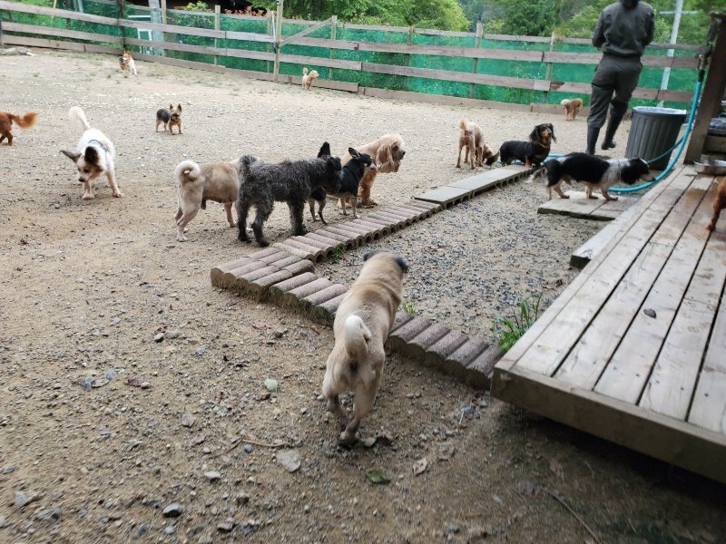 f:id:roukenhome-ann:20190911052459j:plain