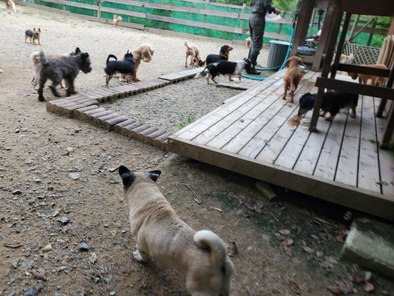 f:id:roukenhome-ann:20190911052506j:plain
