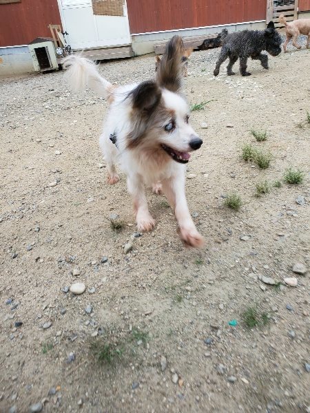 f:id:roukenhome-ann:20190911052615j:plain