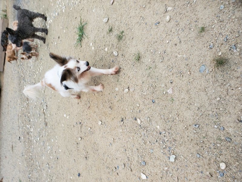 f:id:roukenhome-ann:20190911052622j:plain