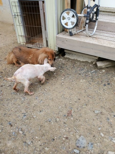 f:id:roukenhome-ann:20190911052653j:plain