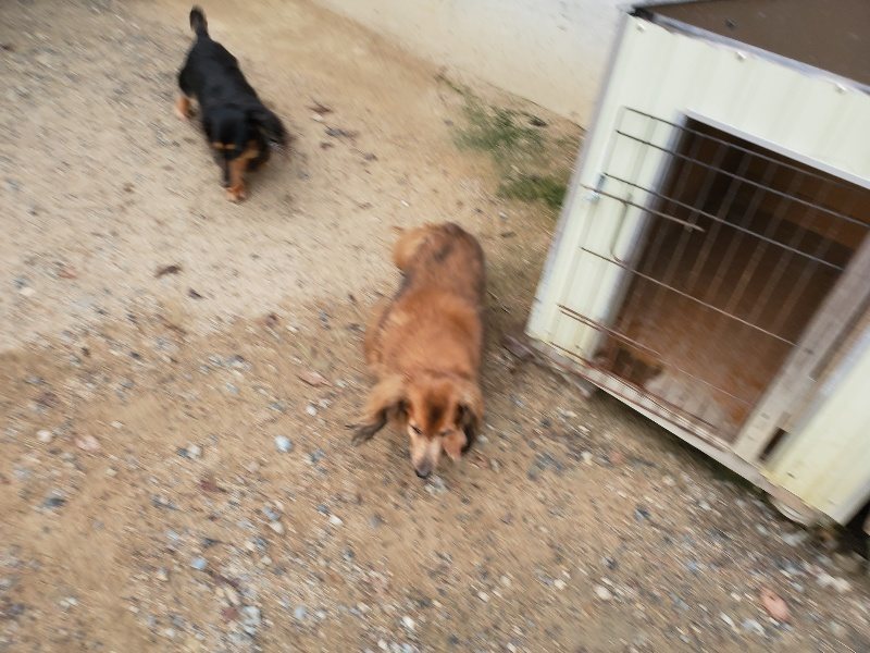 f:id:roukenhome-ann:20190911052710j:plain
