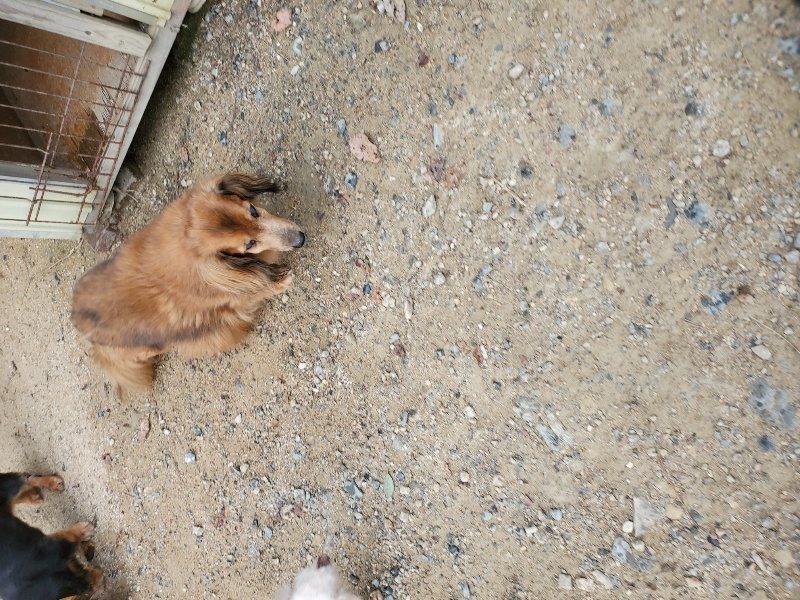 f:id:roukenhome-ann:20190911052715j:plain