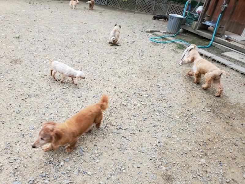 f:id:roukenhome-ann:20190911052732j:plain