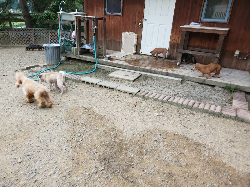 f:id:roukenhome-ann:20190911052739j:plain
