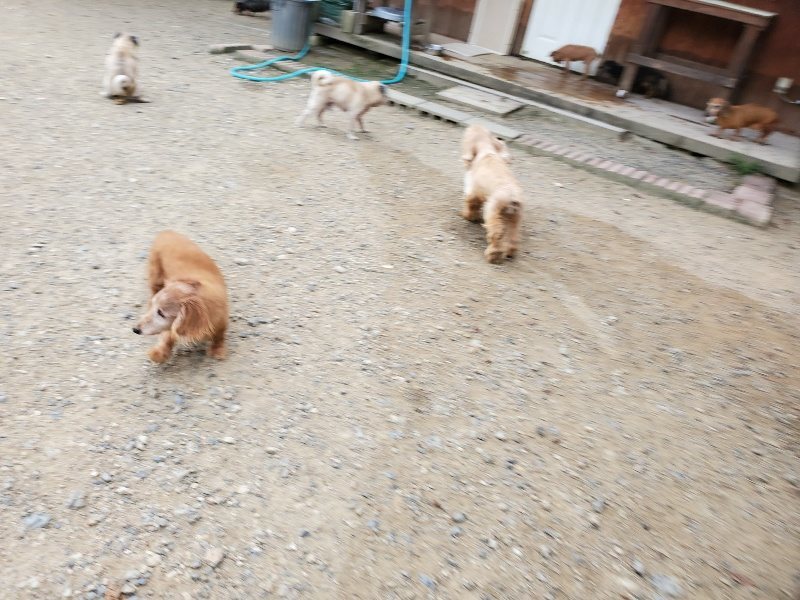 f:id:roukenhome-ann:20190911052743j:plain