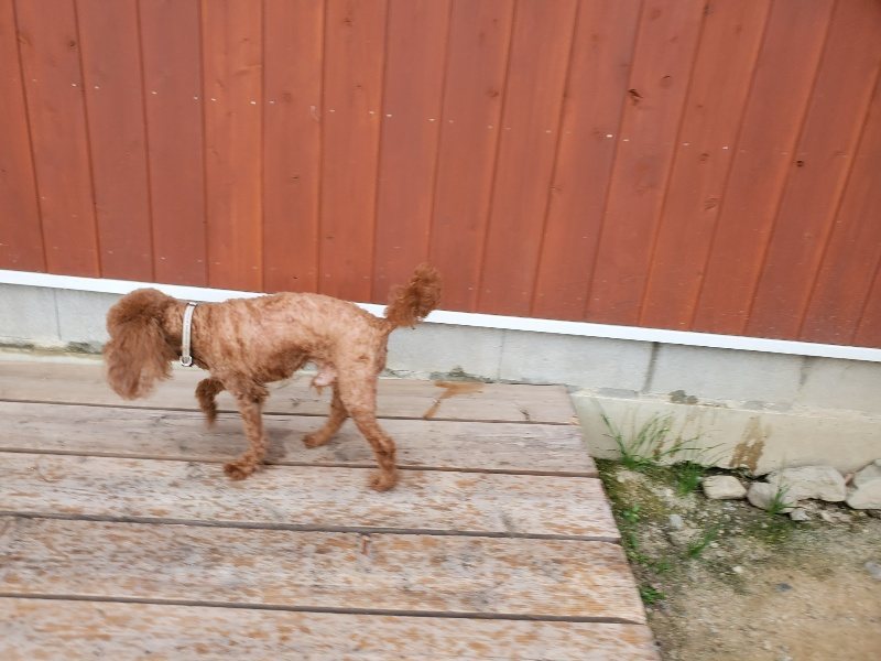 f:id:roukenhome-ann:20190911052752j:plain