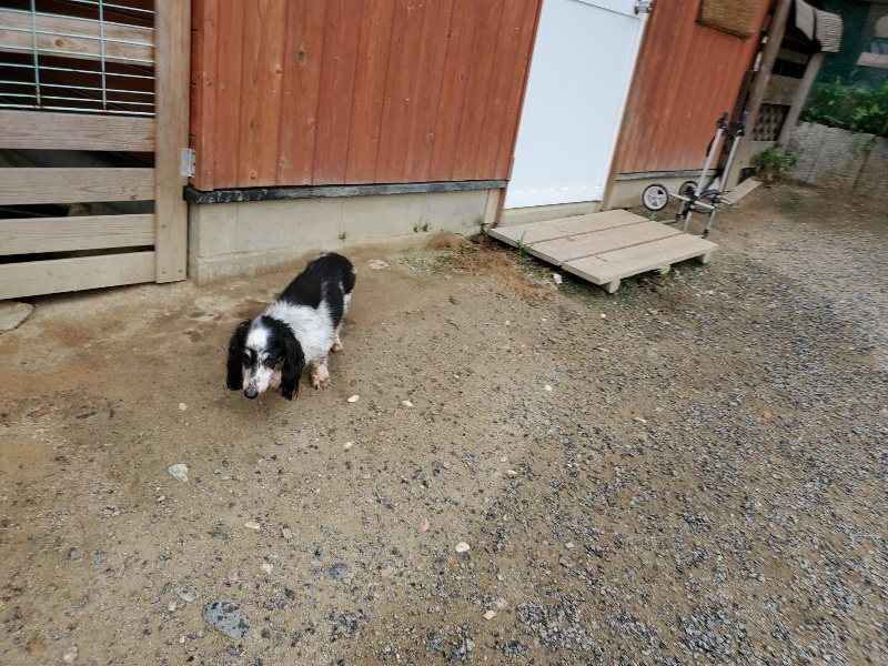 f:id:roukenhome-ann:20190911052802j:plain