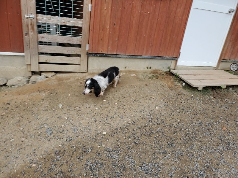 f:id:roukenhome-ann:20190911052808j:plain