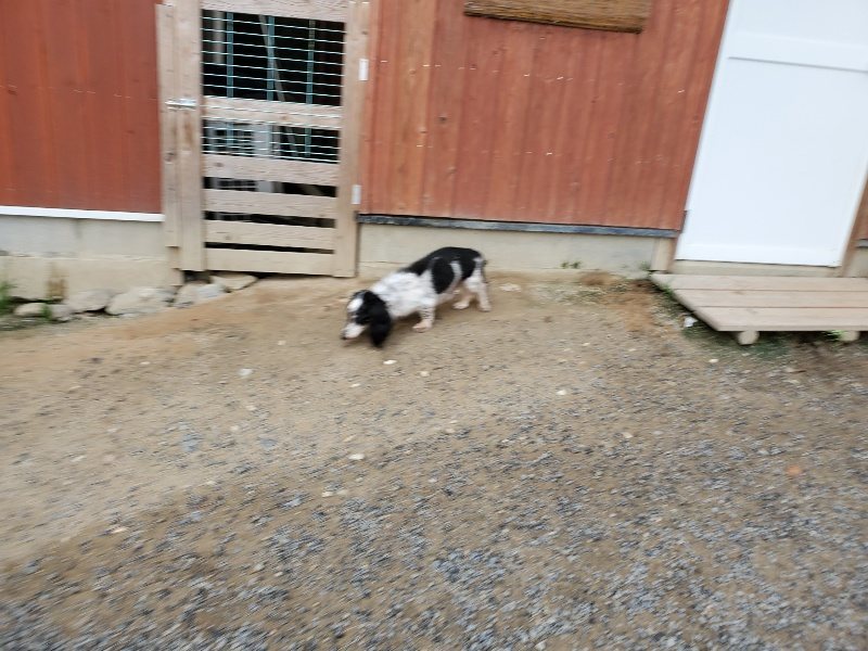 f:id:roukenhome-ann:20190911052813j:plain