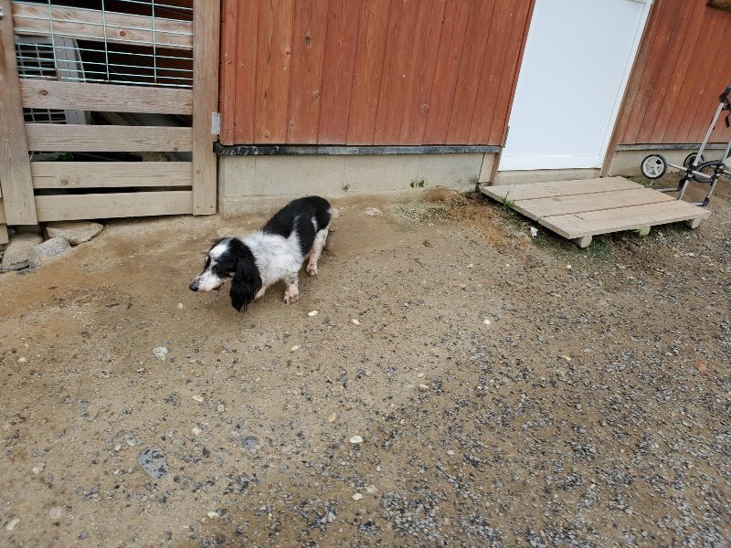f:id:roukenhome-ann:20190911052819j:plain