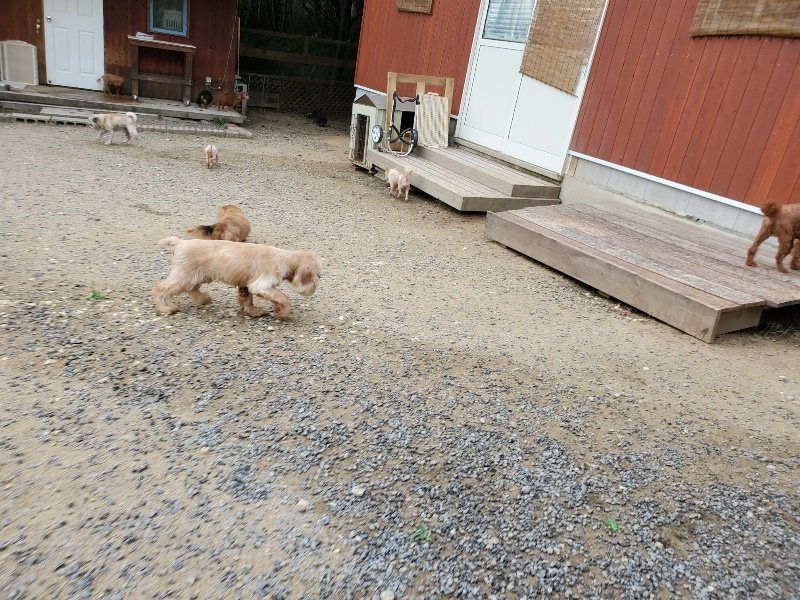 f:id:roukenhome-ann:20190911052824j:plain