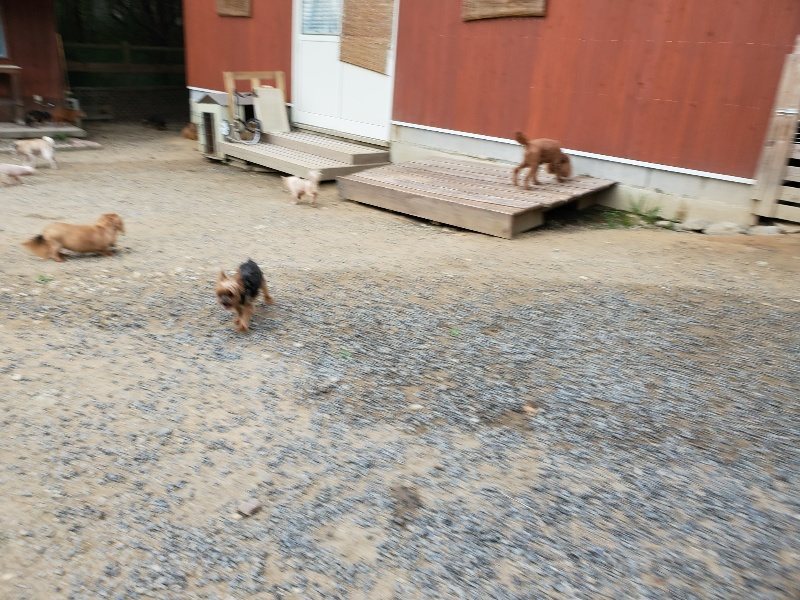 f:id:roukenhome-ann:20190911052830j:plain