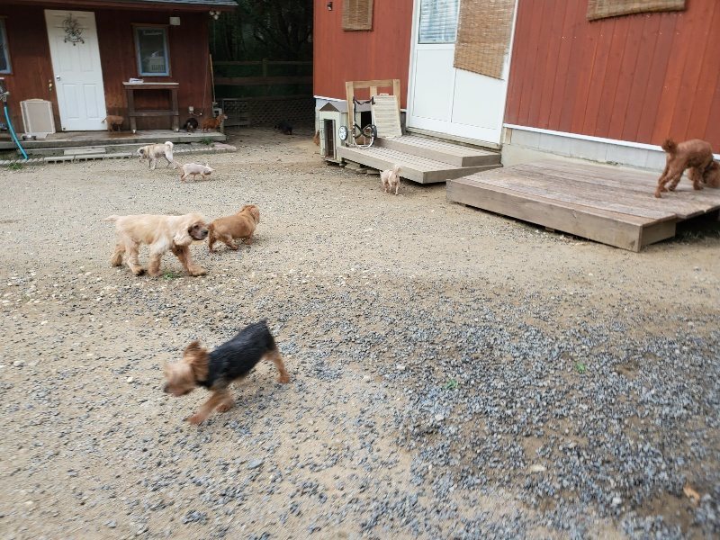 f:id:roukenhome-ann:20190911052836j:plain