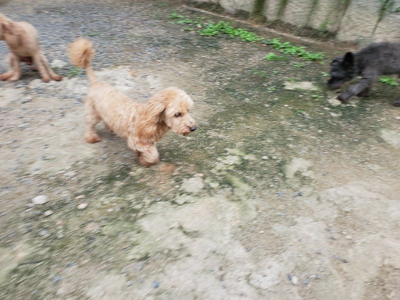 f:id:roukenhome-ann:20190911052841j:plain