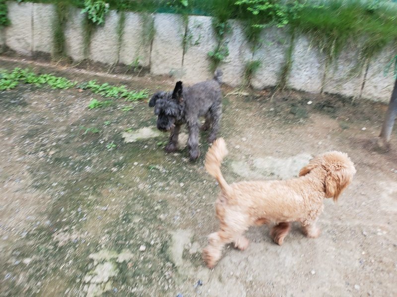 f:id:roukenhome-ann:20190911052848j:plain