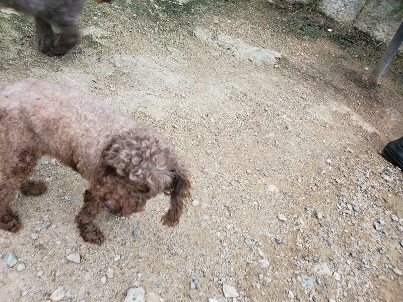 f:id:roukenhome-ann:20190911052901j:plain