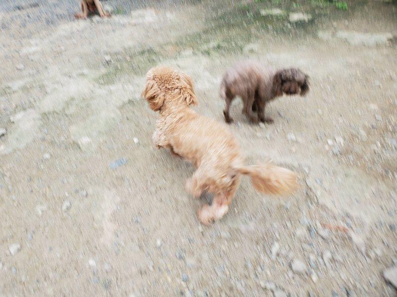 f:id:roukenhome-ann:20190911052912j:plain