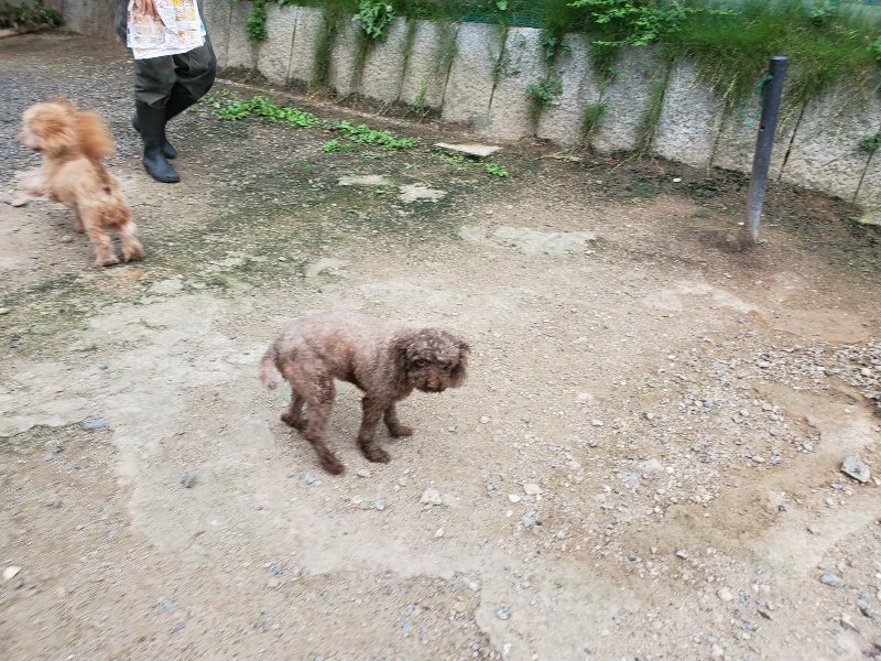 f:id:roukenhome-ann:20190911052925j:plain