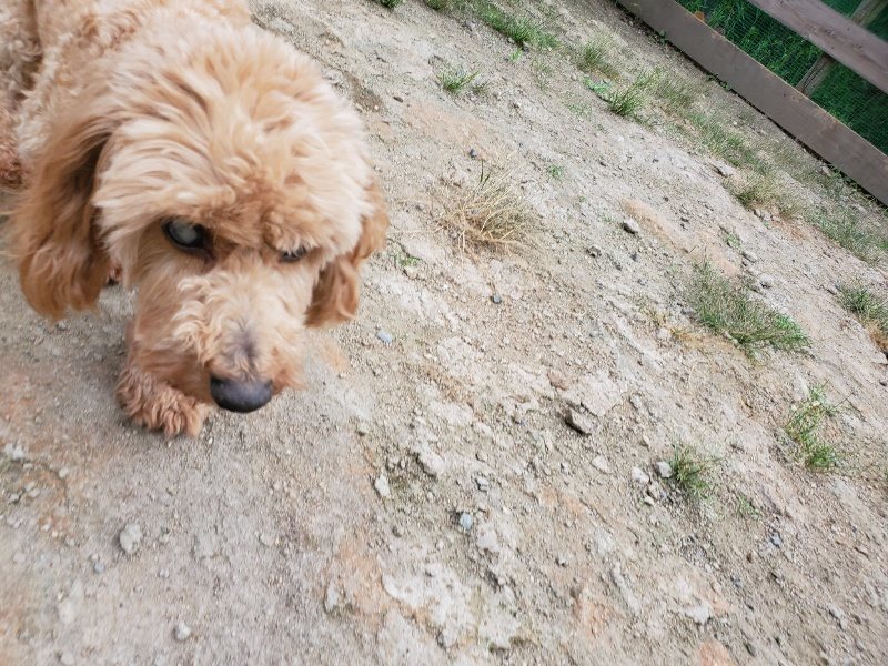 f:id:roukenhome-ann:20190911052934j:plain