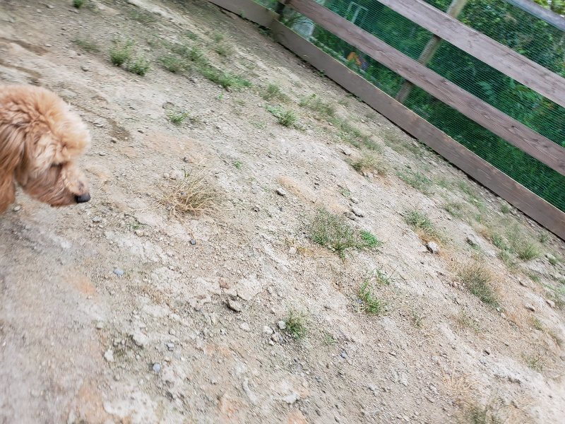 f:id:roukenhome-ann:20190911052940j:plain