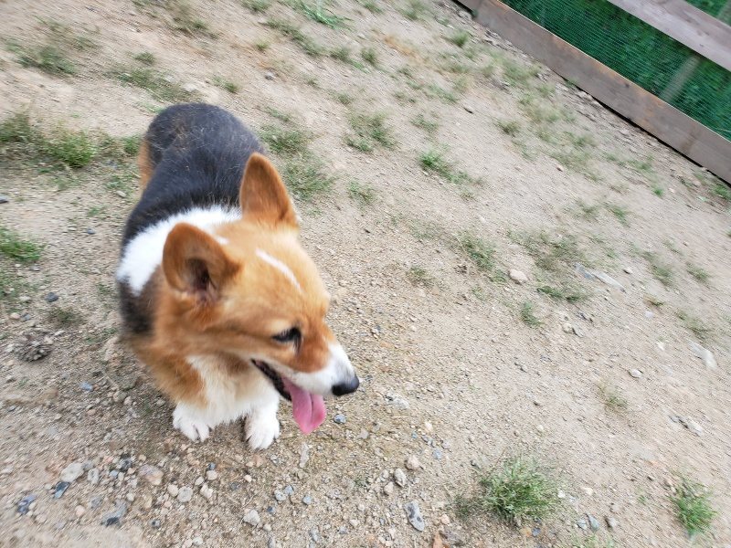 f:id:roukenhome-ann:20190911052946j:plain