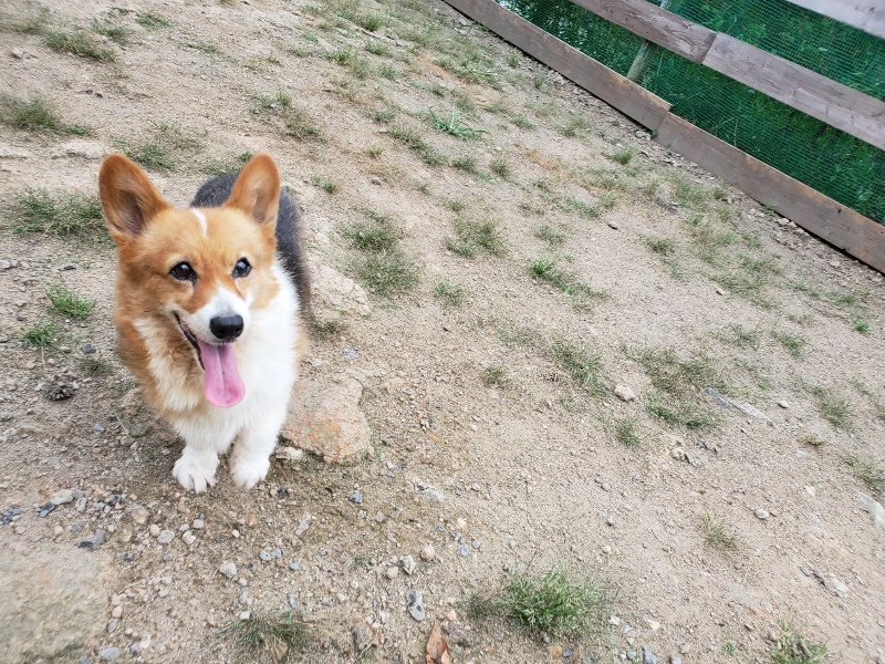 f:id:roukenhome-ann:20190911052958j:plain