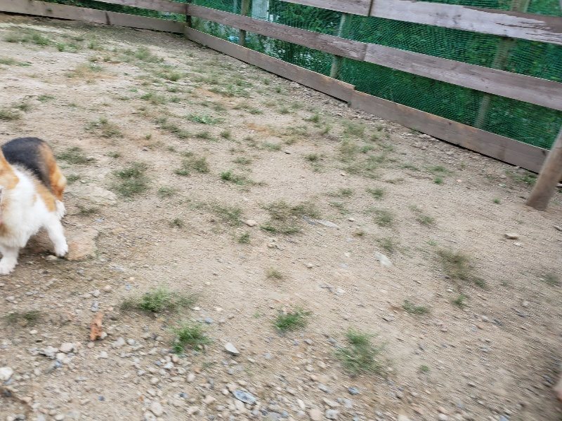 f:id:roukenhome-ann:20190911053005j:plain