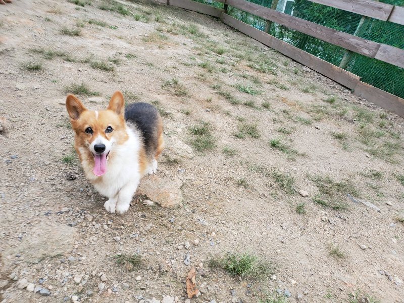 f:id:roukenhome-ann:20190911053011j:plain