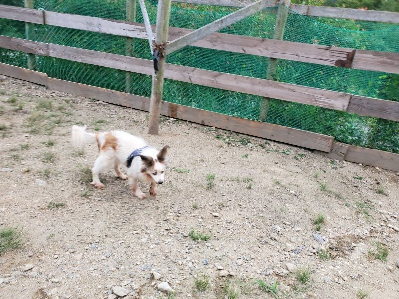f:id:roukenhome-ann:20190911053017j:plain