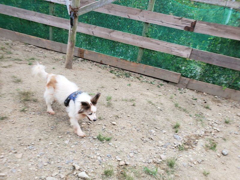 f:id:roukenhome-ann:20190911053023j:plain