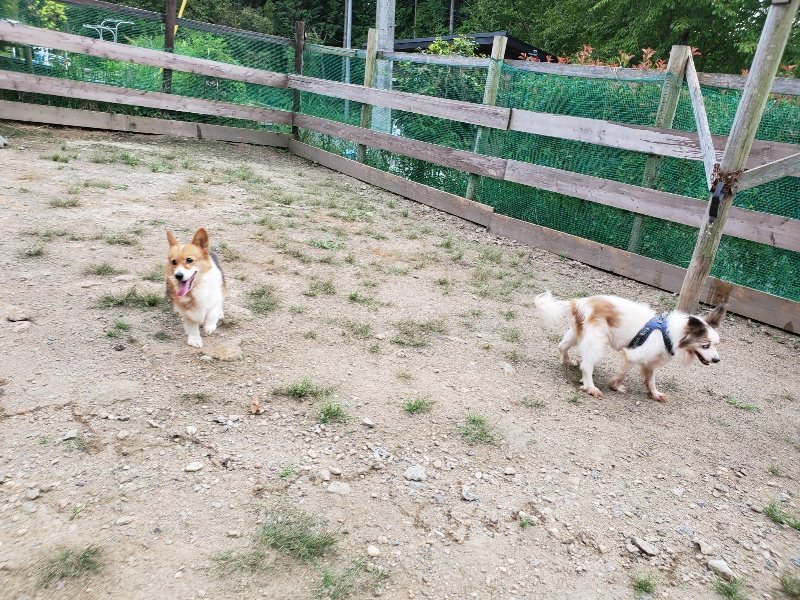 f:id:roukenhome-ann:20190911053029j:plain
