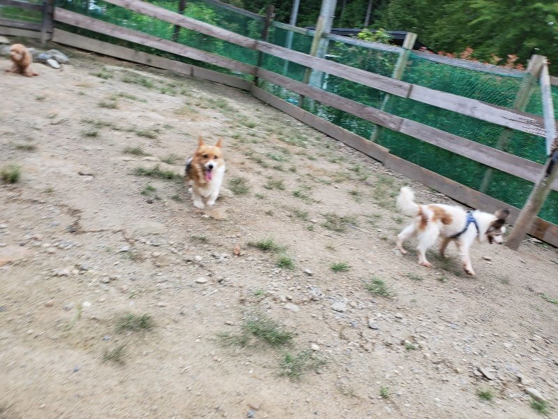 f:id:roukenhome-ann:20190911053035j:plain