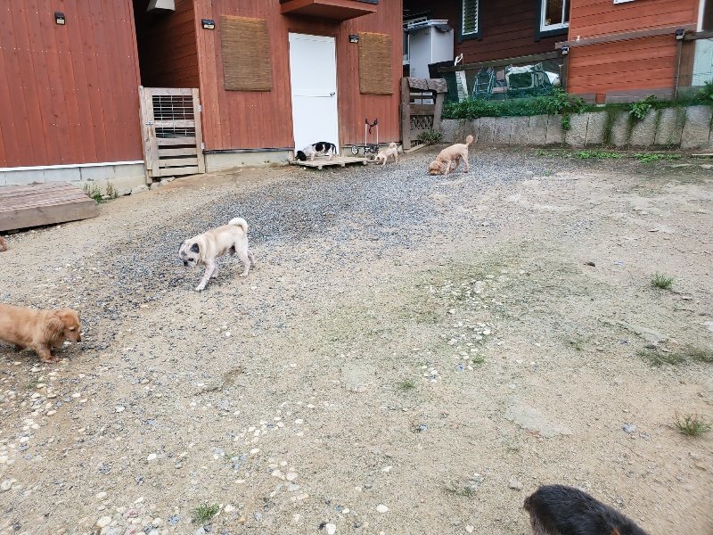 f:id:roukenhome-ann:20190911053040j:plain