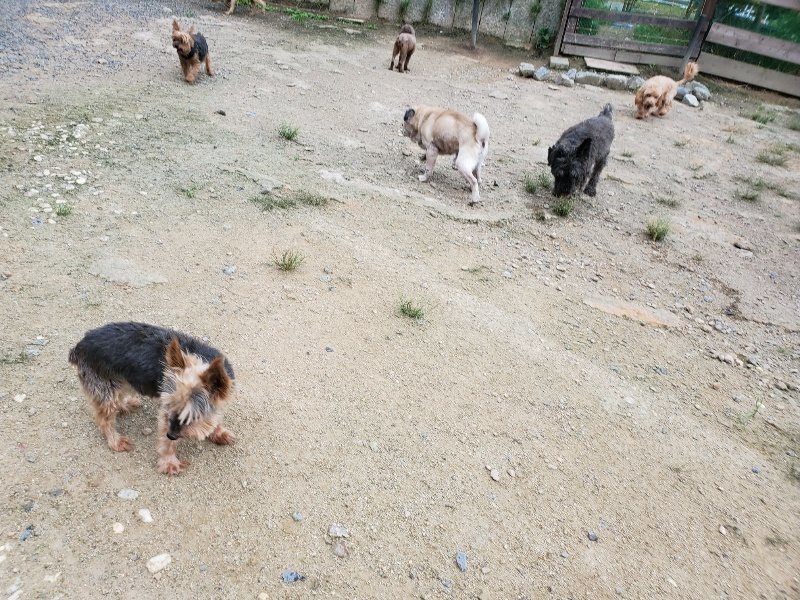 f:id:roukenhome-ann:20190911053048j:plain